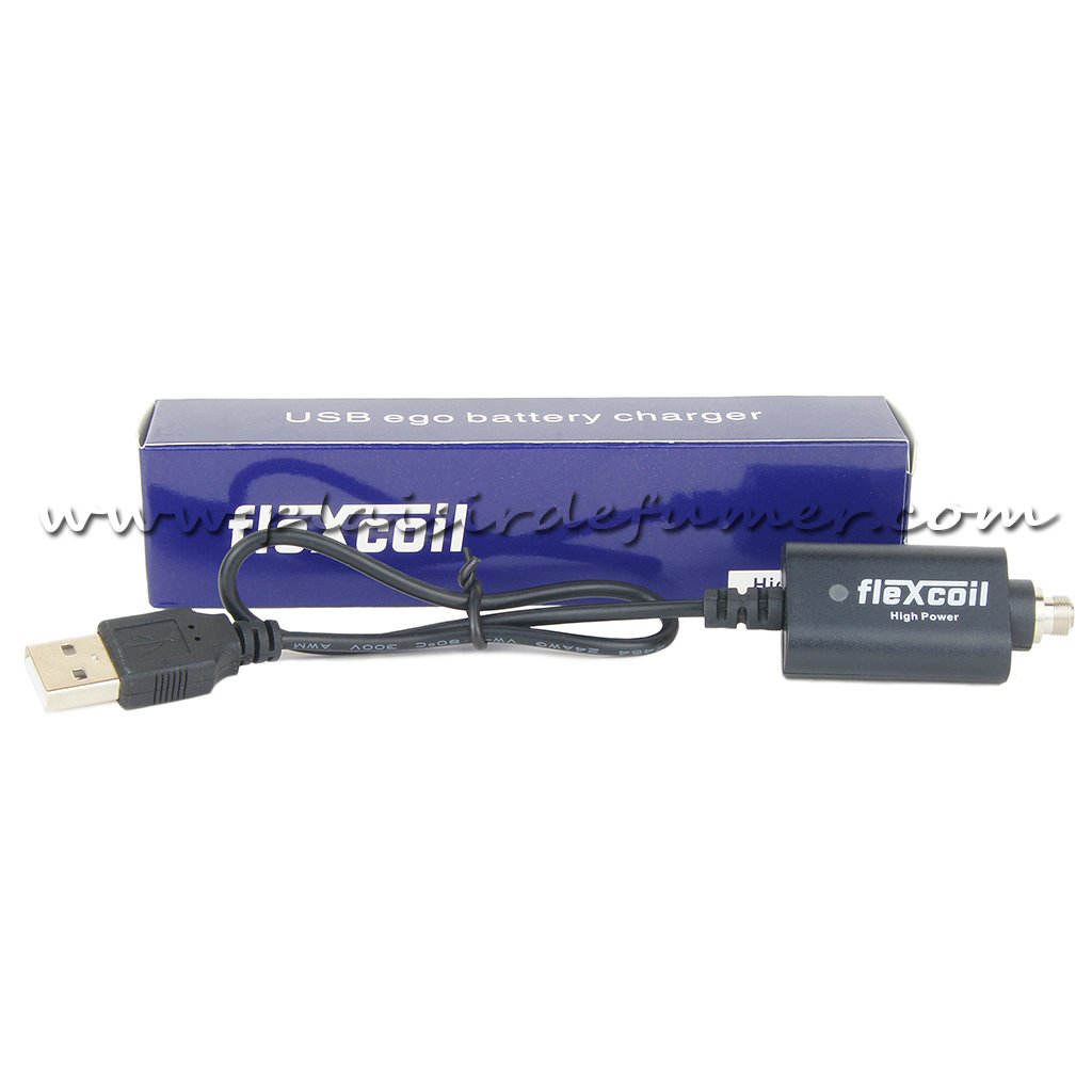 Chargeur USB pour batterie EGO